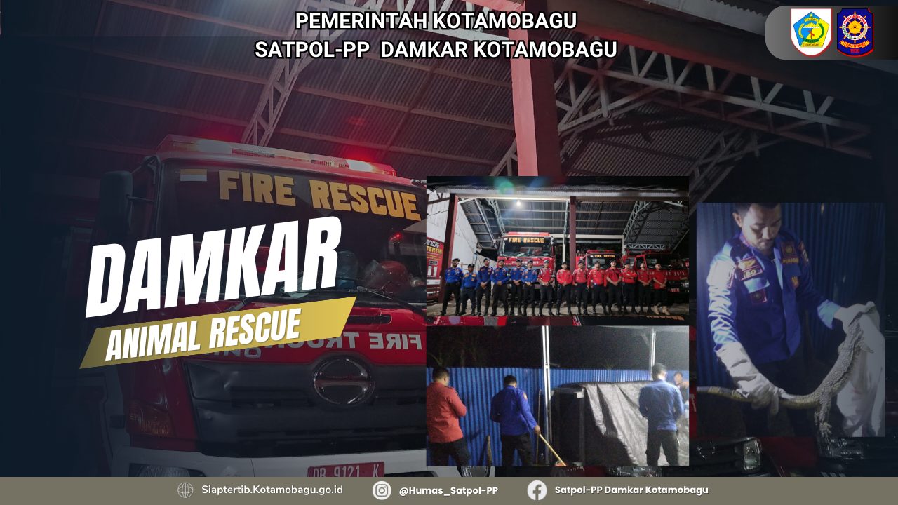 ANIMAL RESCUE PEMADAM KEBAKARAN KOTAMOBAGU