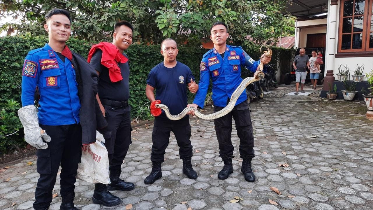 Kegiatan non kebakaran
